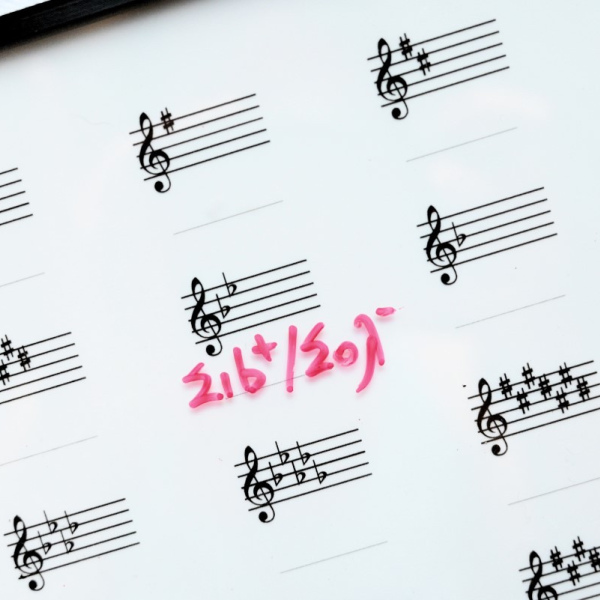 Ακρυλικός Πίνακας Μουσικής με Οπλισμούς - Οι Πολυμουσικοί